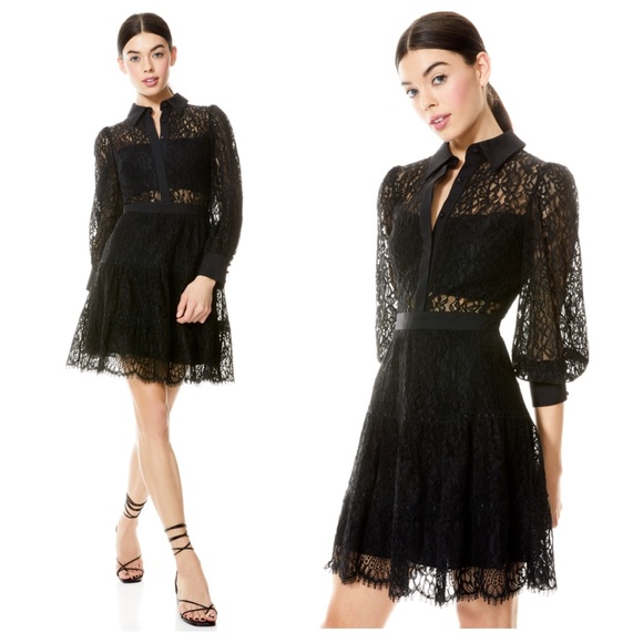 ALICE + OLIVIA Anaya Collared Lace Mini Dress